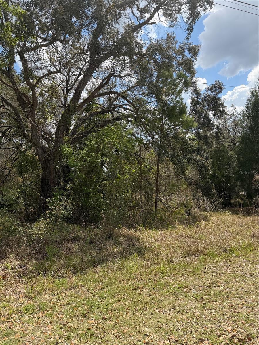 0 Bastian Court, FL
