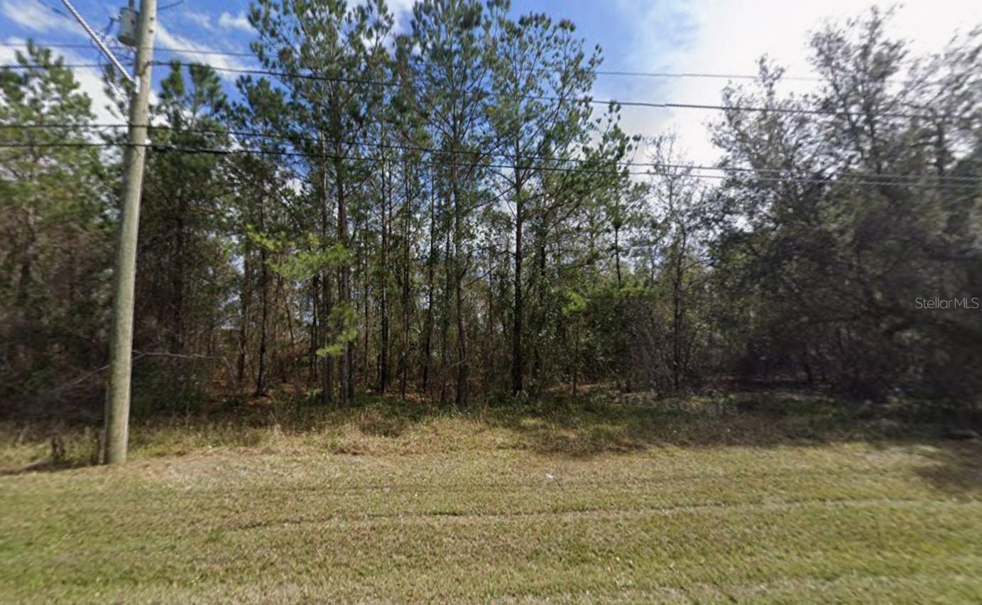 Charlie Road, FL