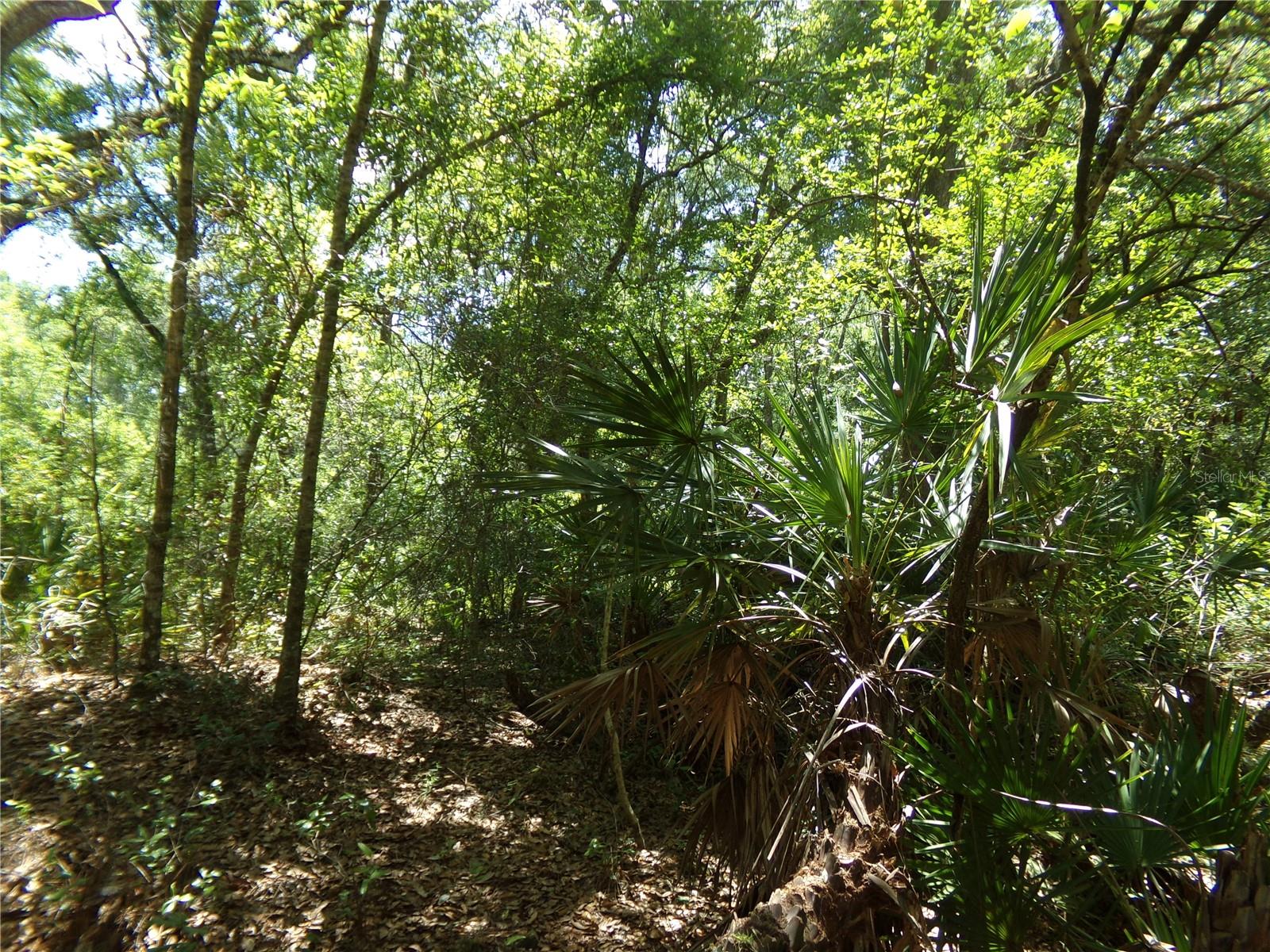 Knoxville Drive, FL