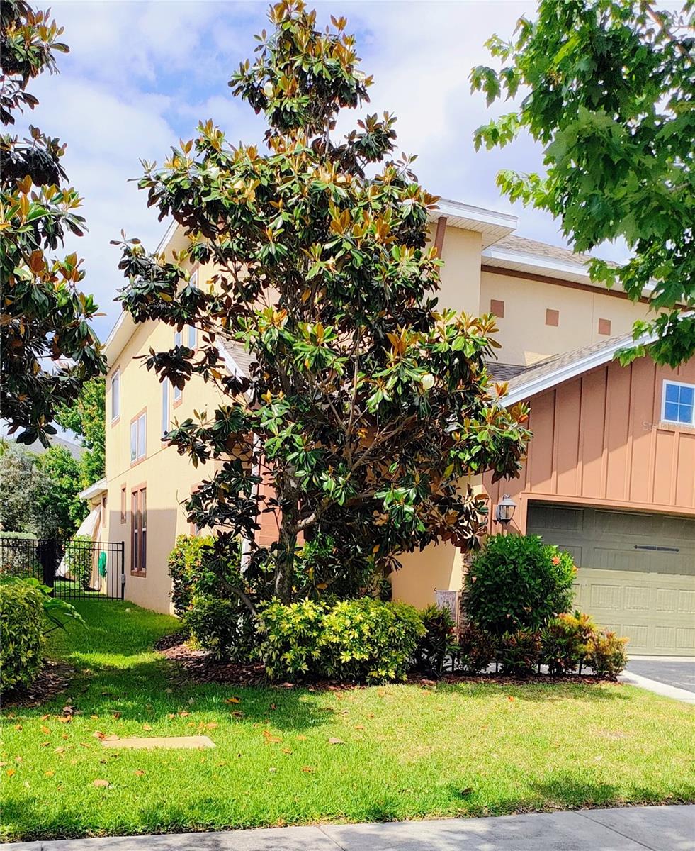7508 Sea Lilly Court, FL
