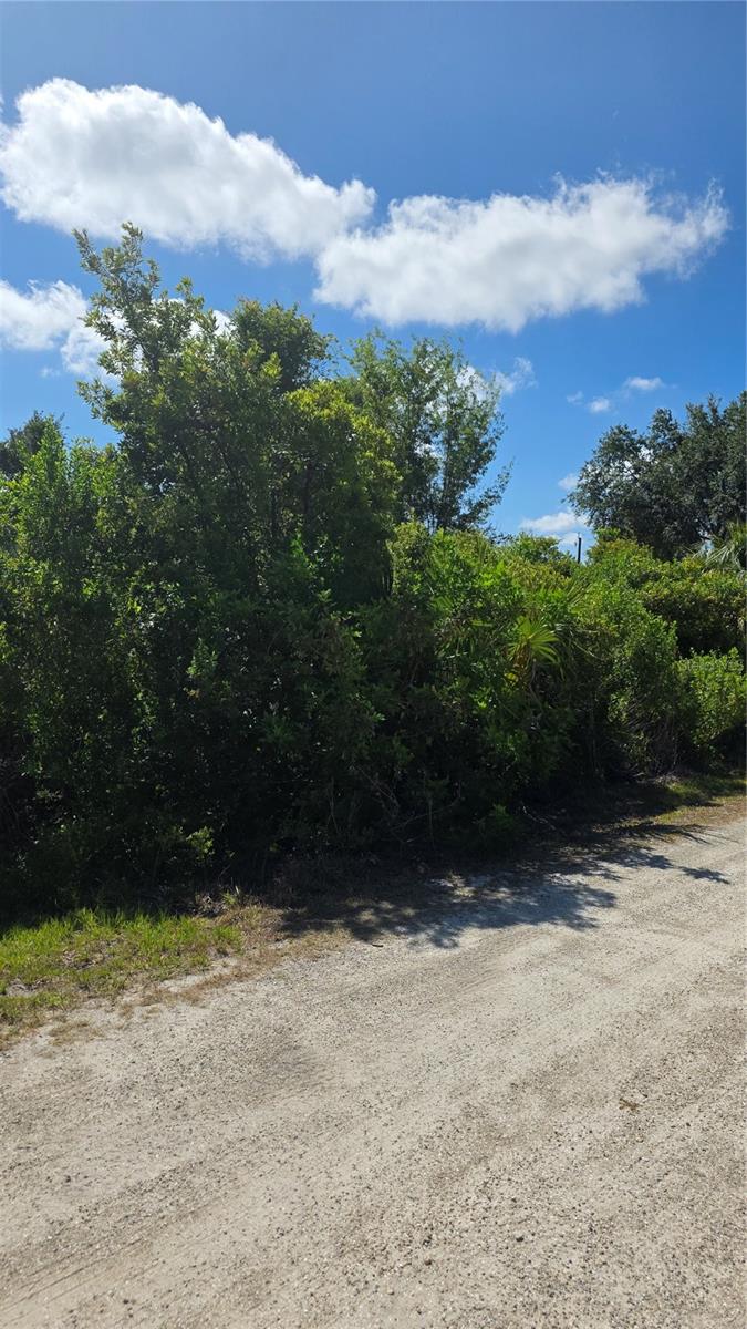 2094 Middle Terrace, FL