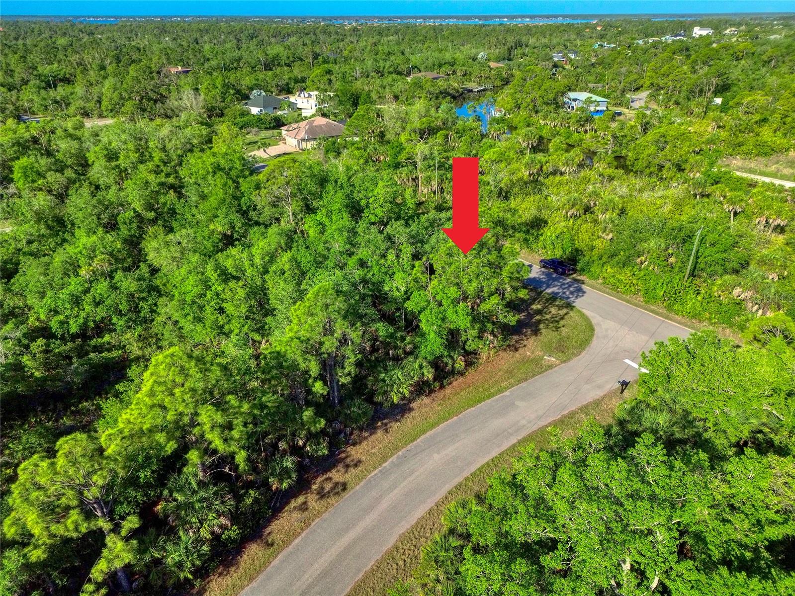 14157 Darwin Avenue, FL