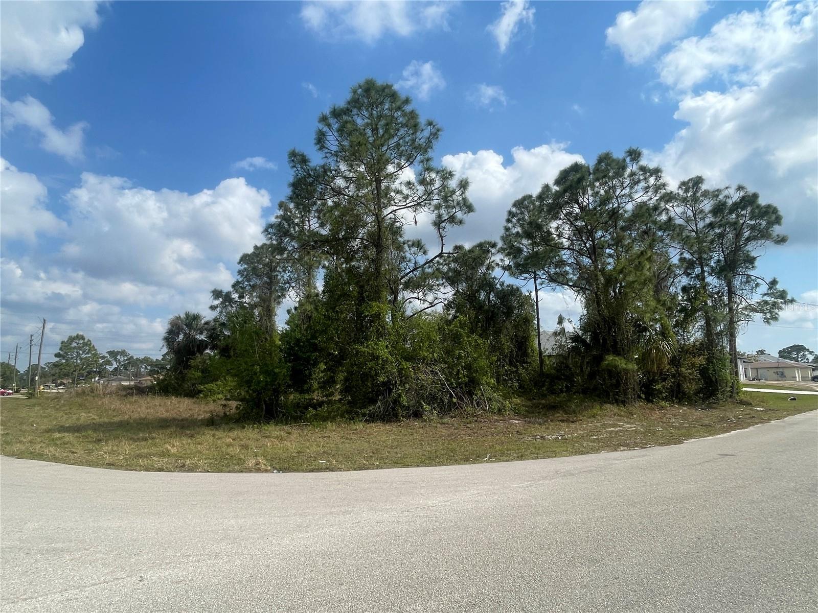1054/1056 Albert Avenue, FL