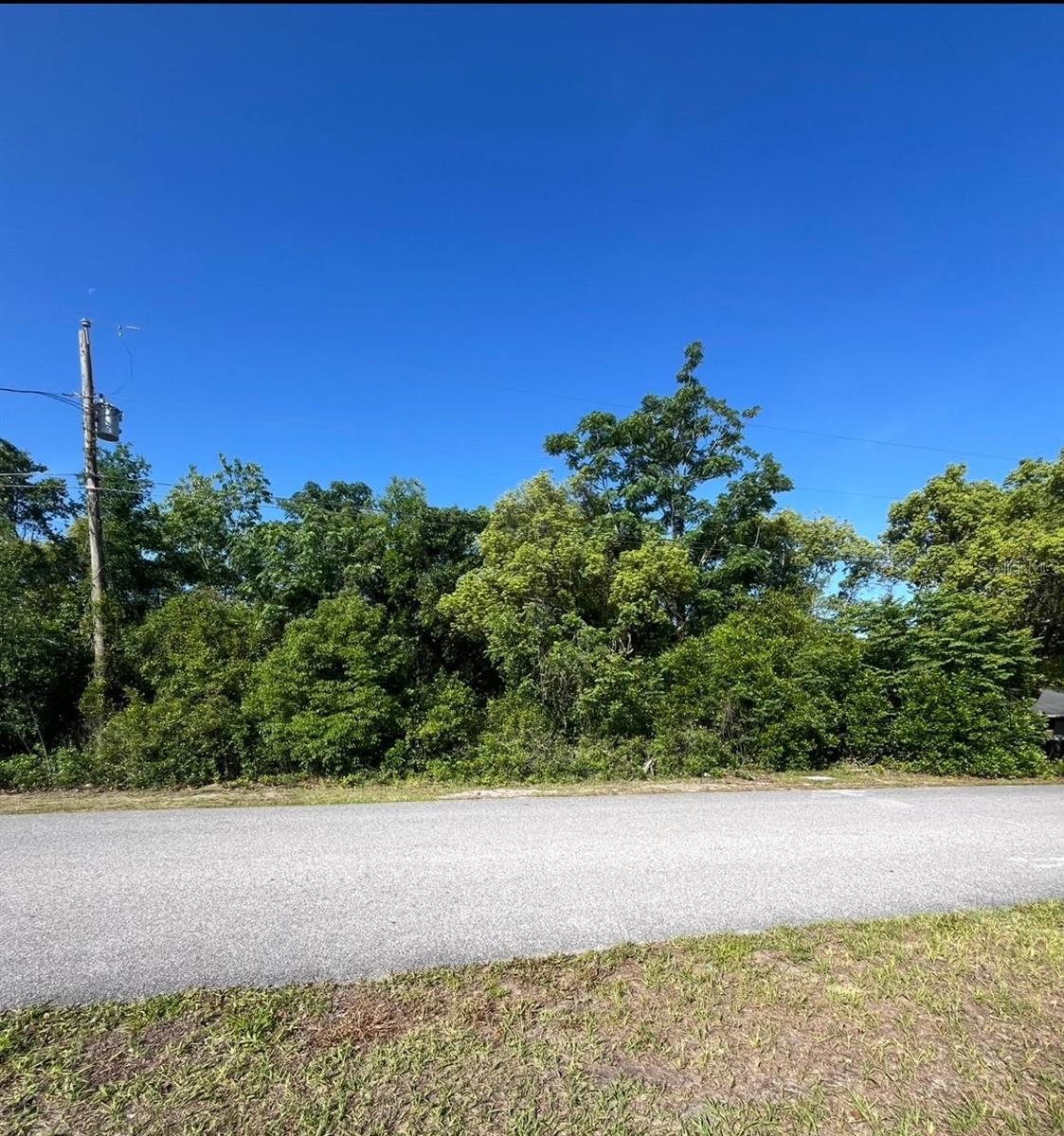 Bolger Avenue, FL