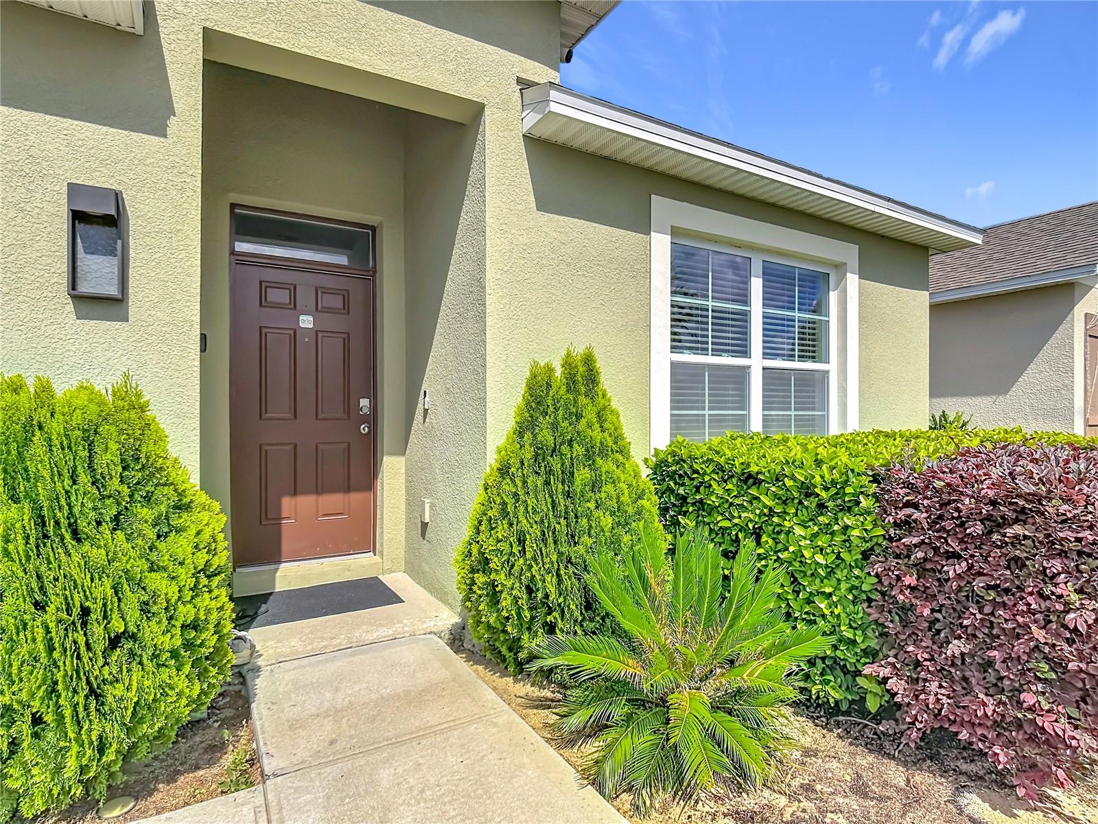 2352 White Poppy Drive, FL