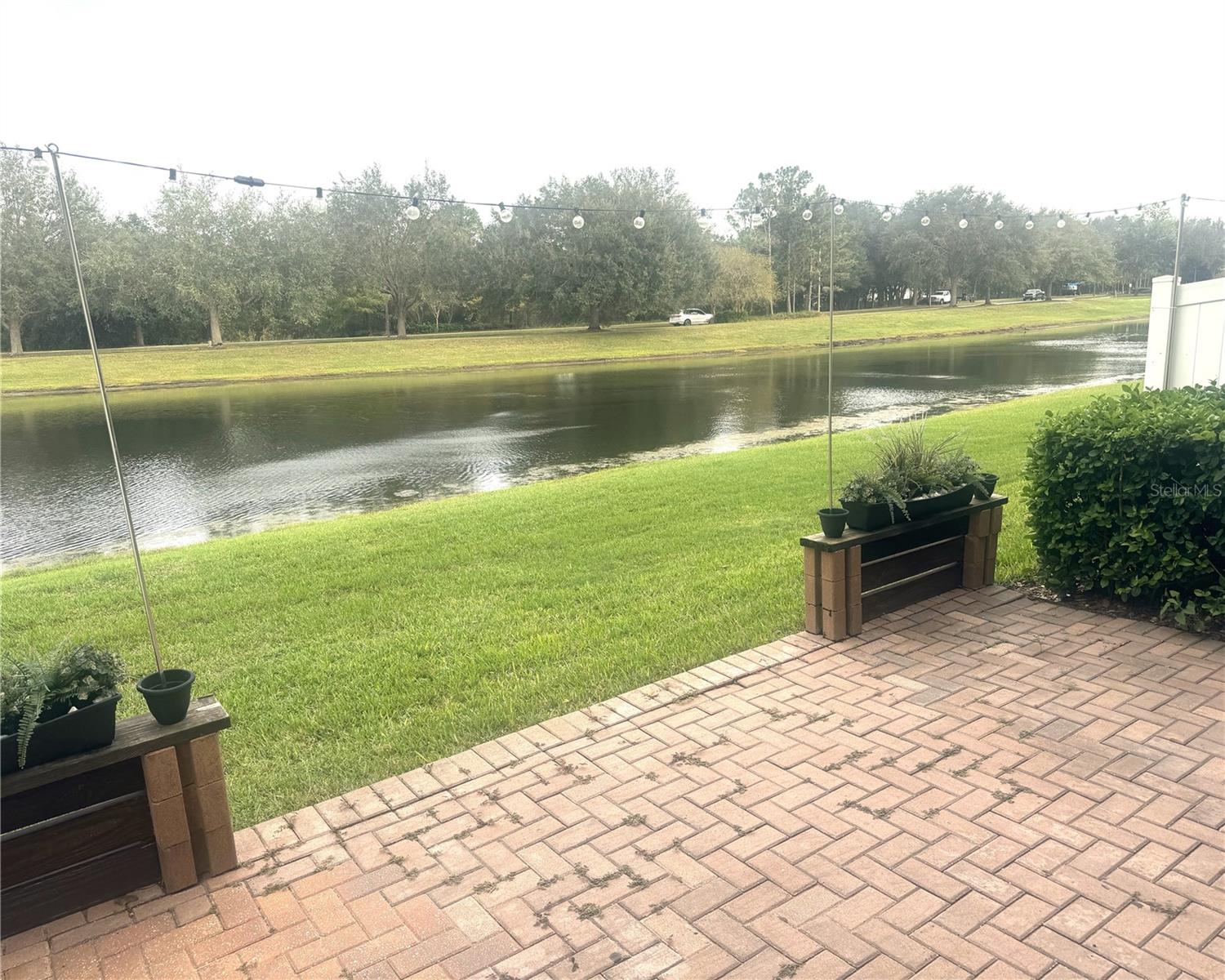 12207 Citruswood Drive, FL