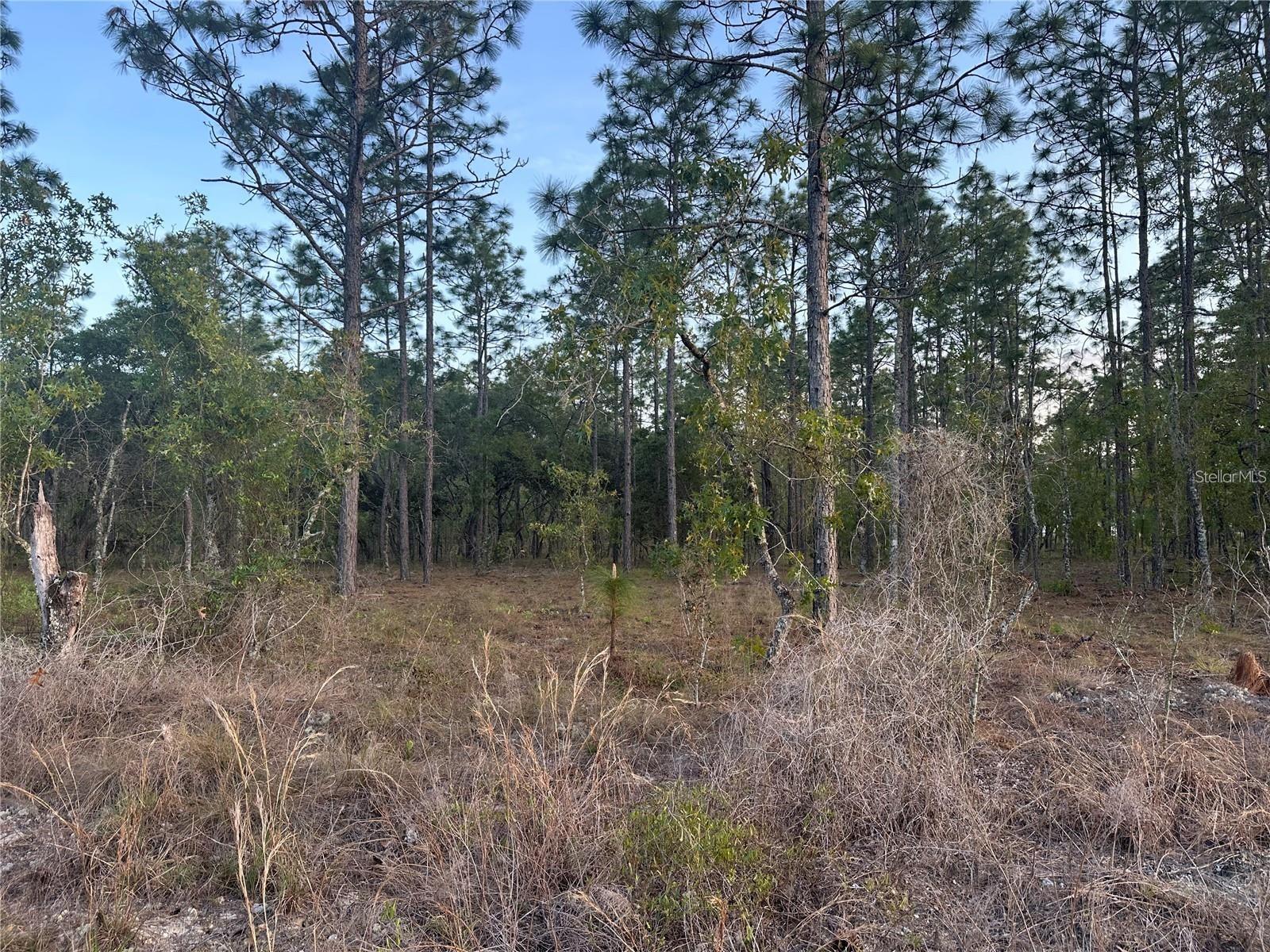 Lot 3 Amberjack Ave., FL