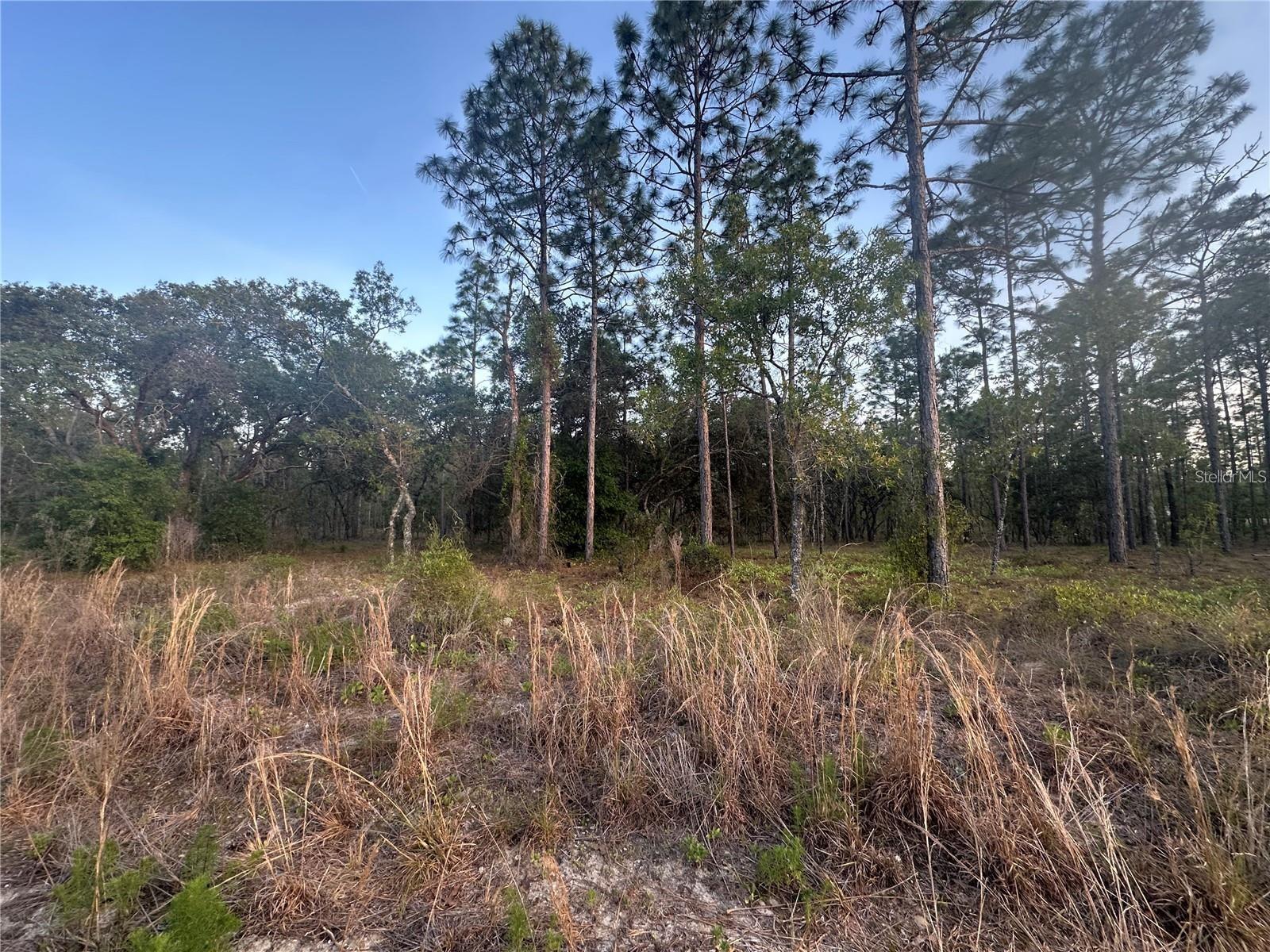 Lot 3 Amberjack Ave., FL