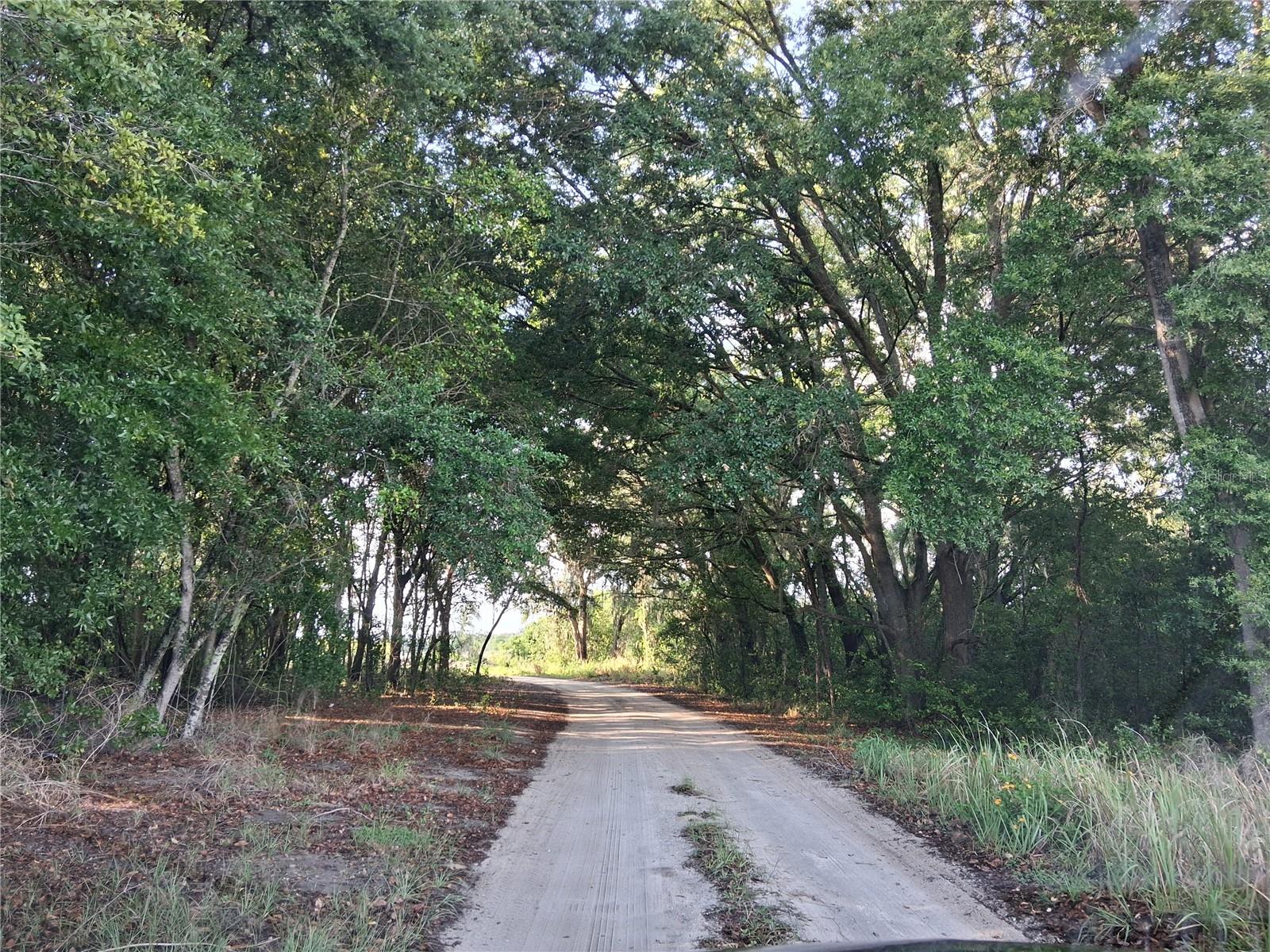 16451 Forrest Lane, FL