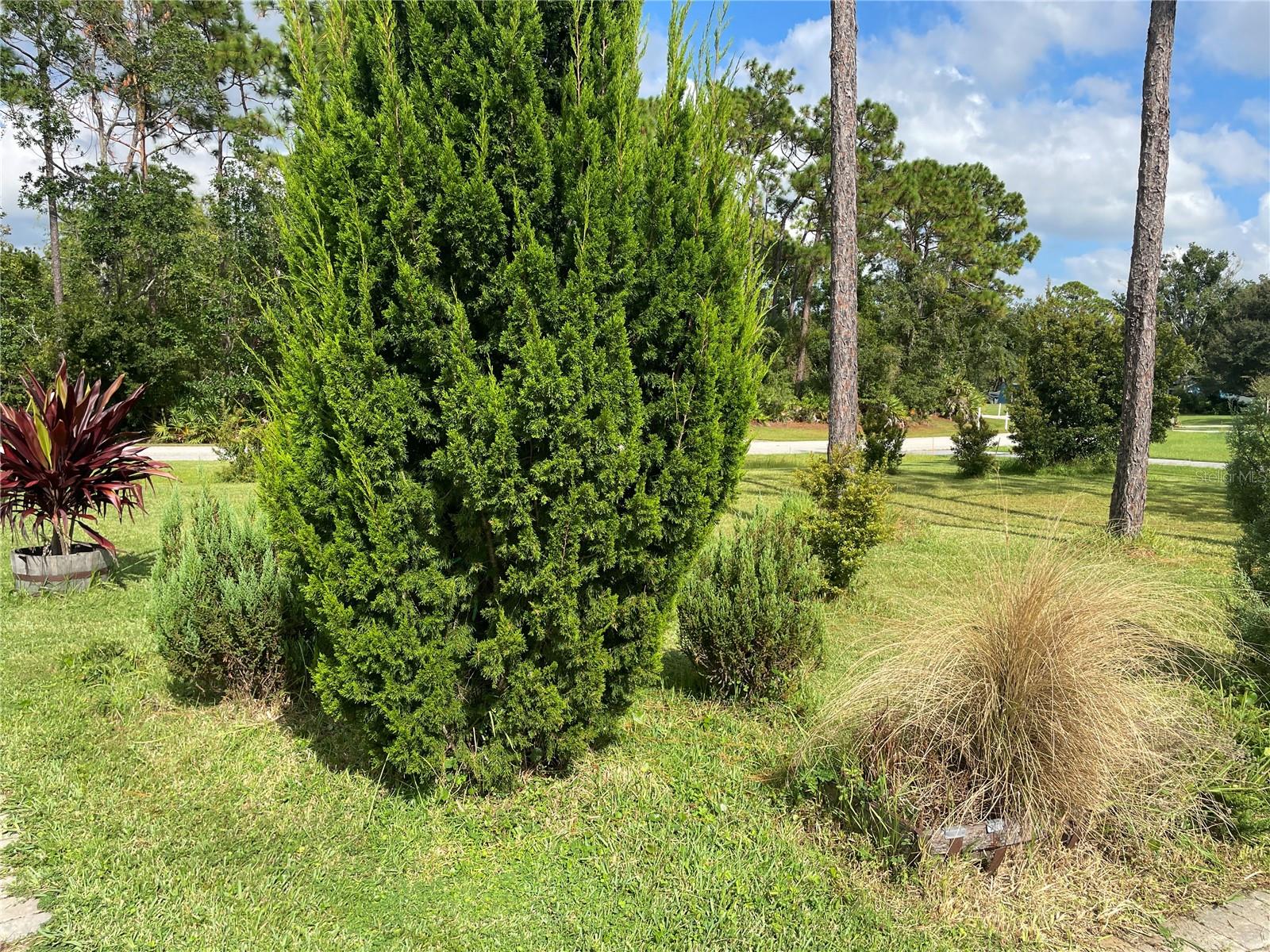 213 Riverbend Road, FL