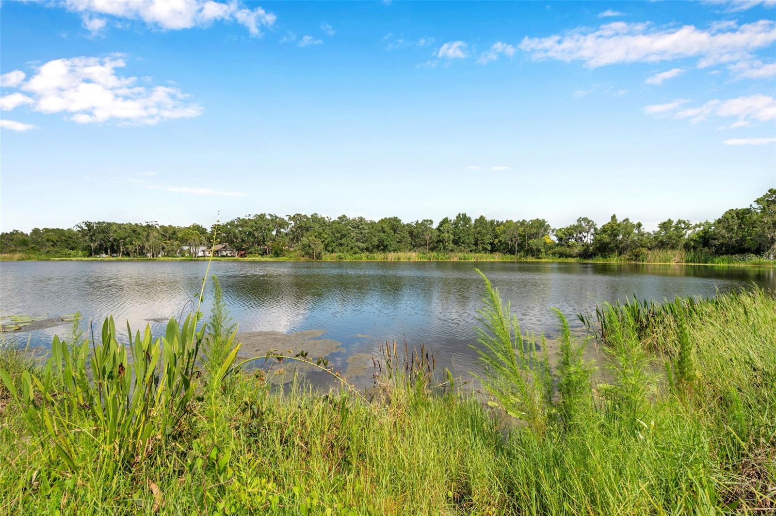 4812 Walnut Ridge Road, FL