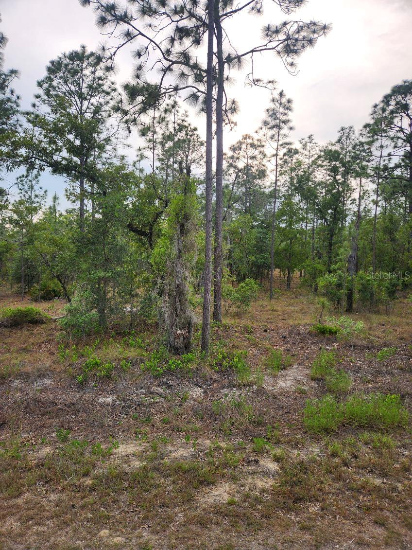00 130th Ct, FL