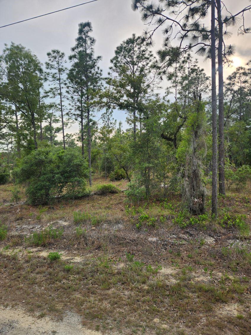 00 130th Ct, FL