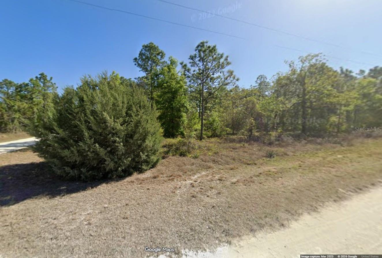 15470 Cave Swallow Road, FL