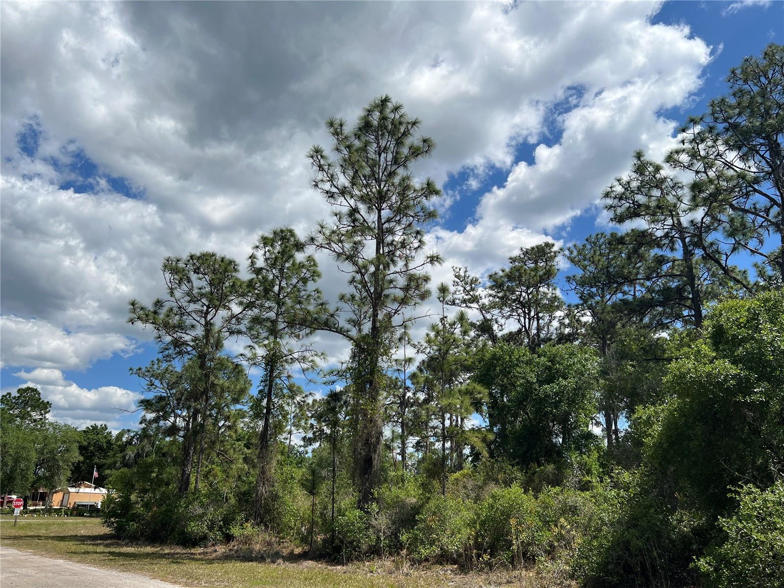 901 Azalea Drive, FL