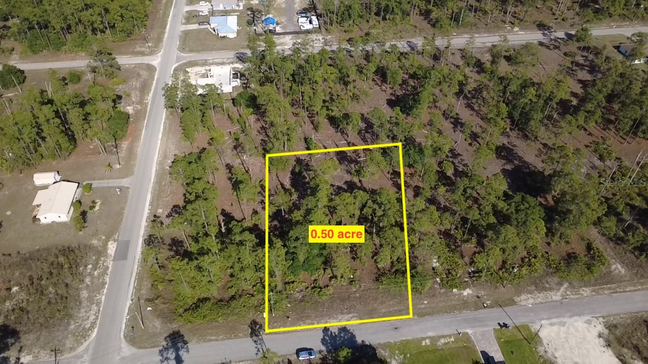920 Louis Avenue, FL