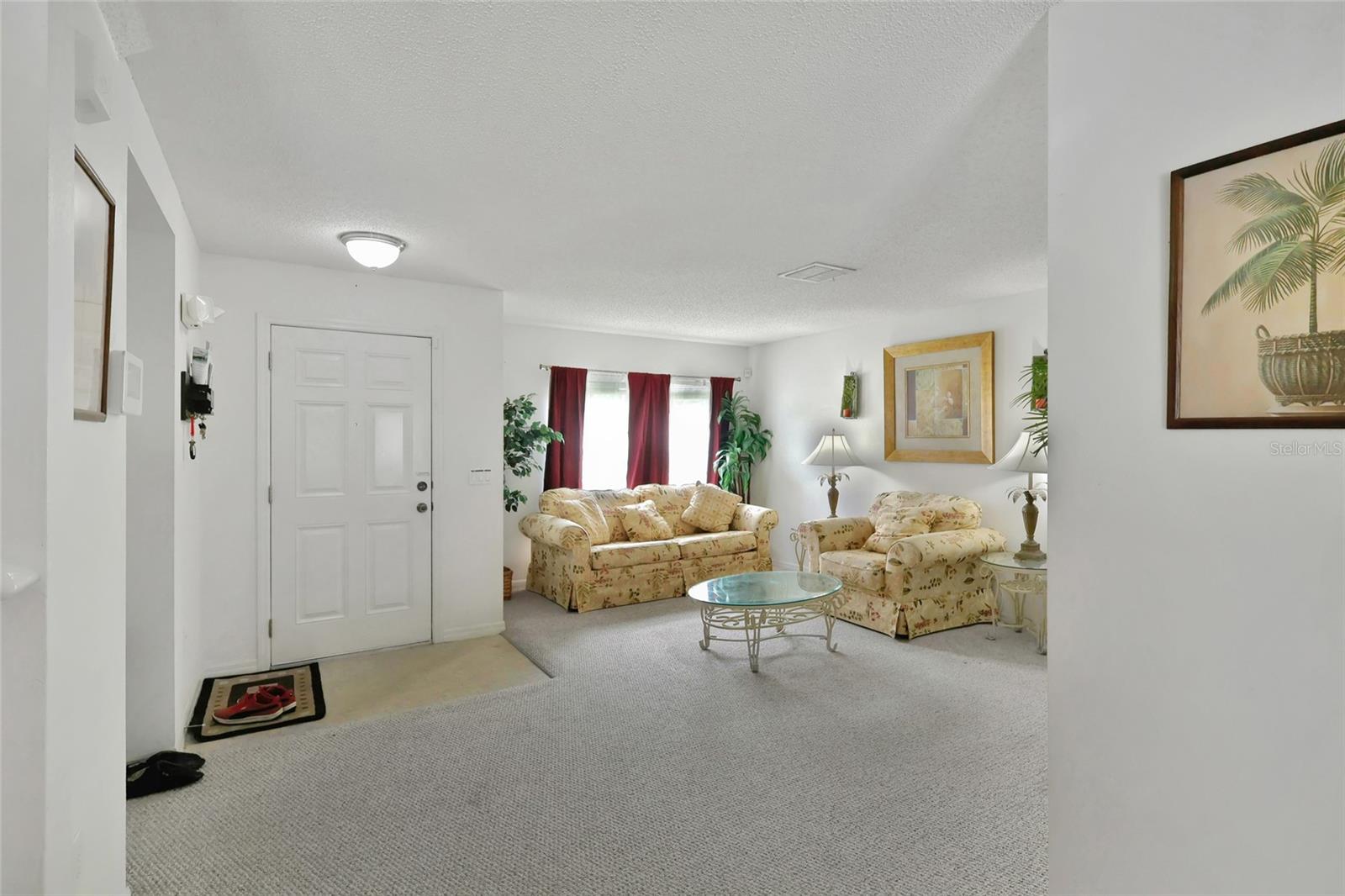 16816 Rising Star Drive, FL