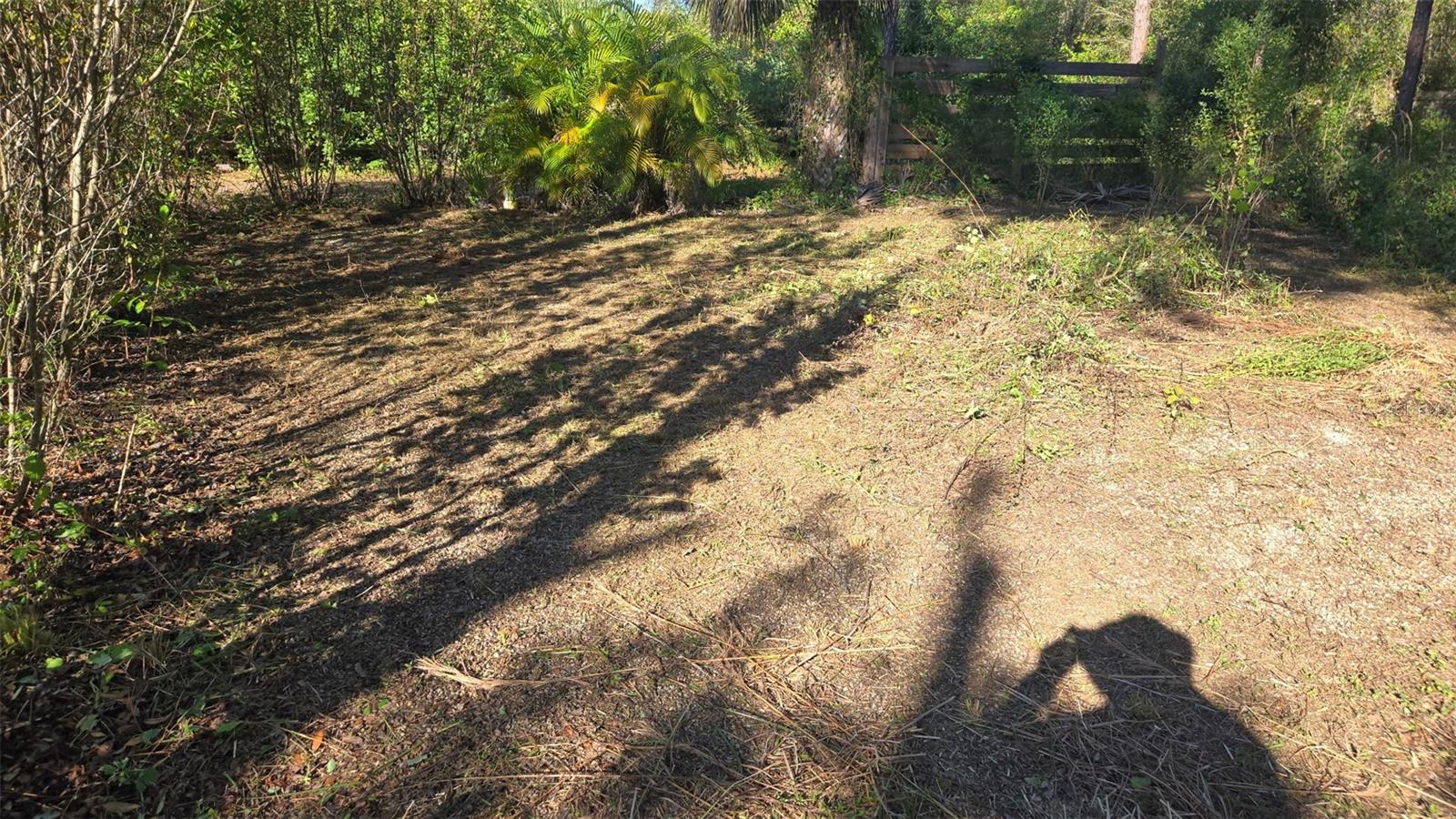 1231 Ramus Street, FL