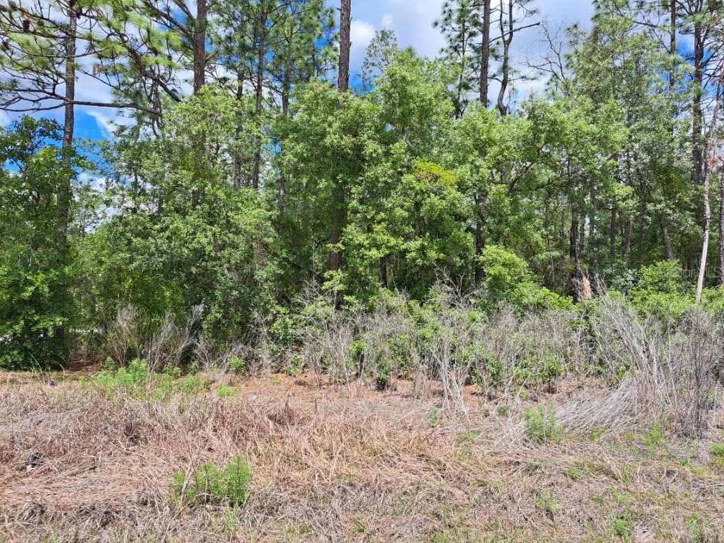 0 125 Court Road, FL