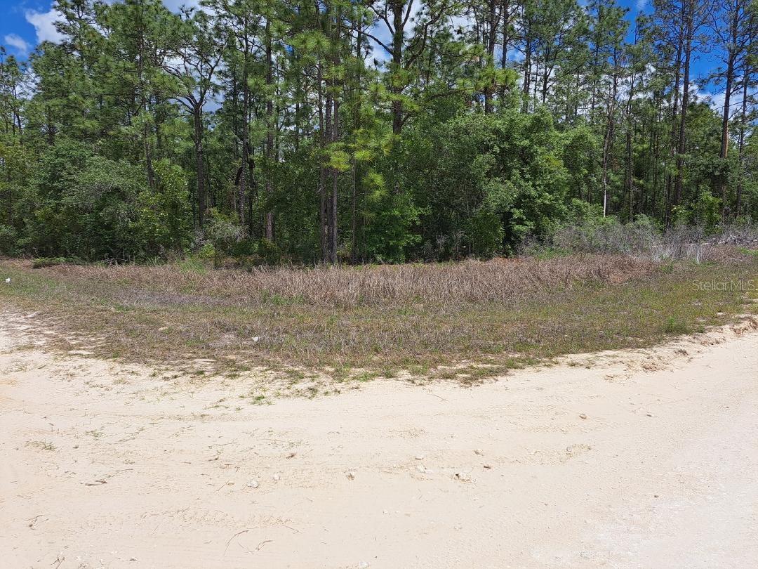 0 125 Court Road, FL