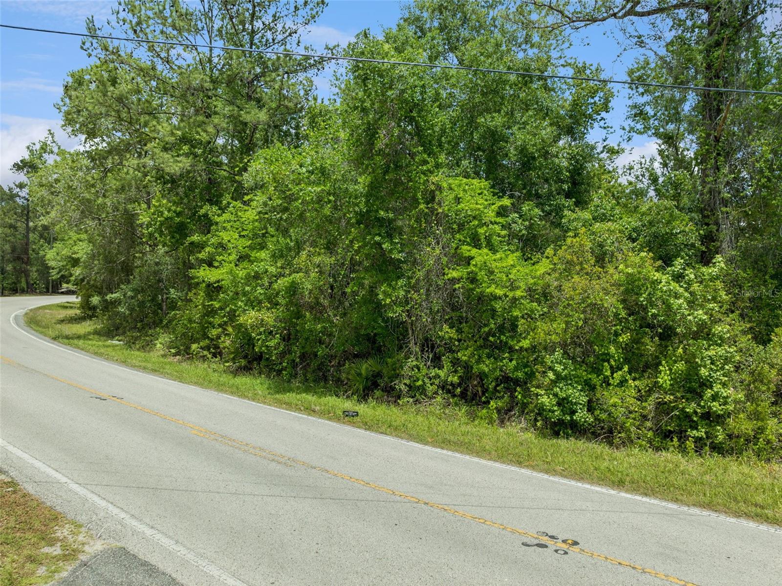 Culbreath Road, FL