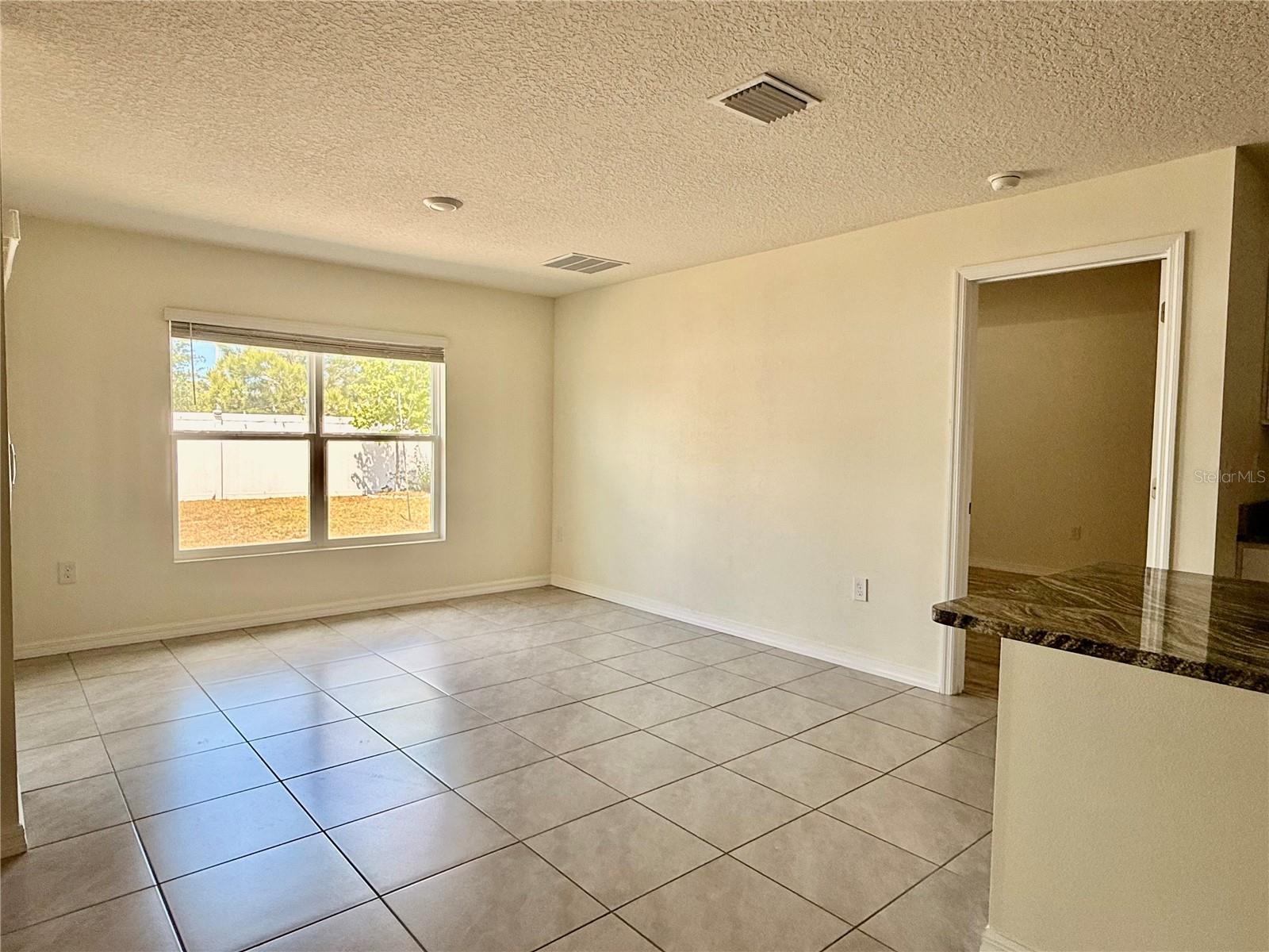 4119 Autumn Amber Drive, FL