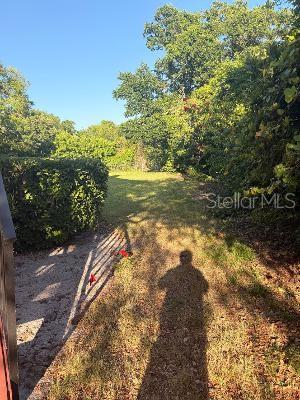 3455 Countryside Boulevard, FL
