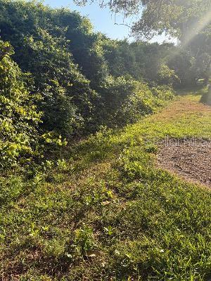 3455 Countryside Boulevard, FL