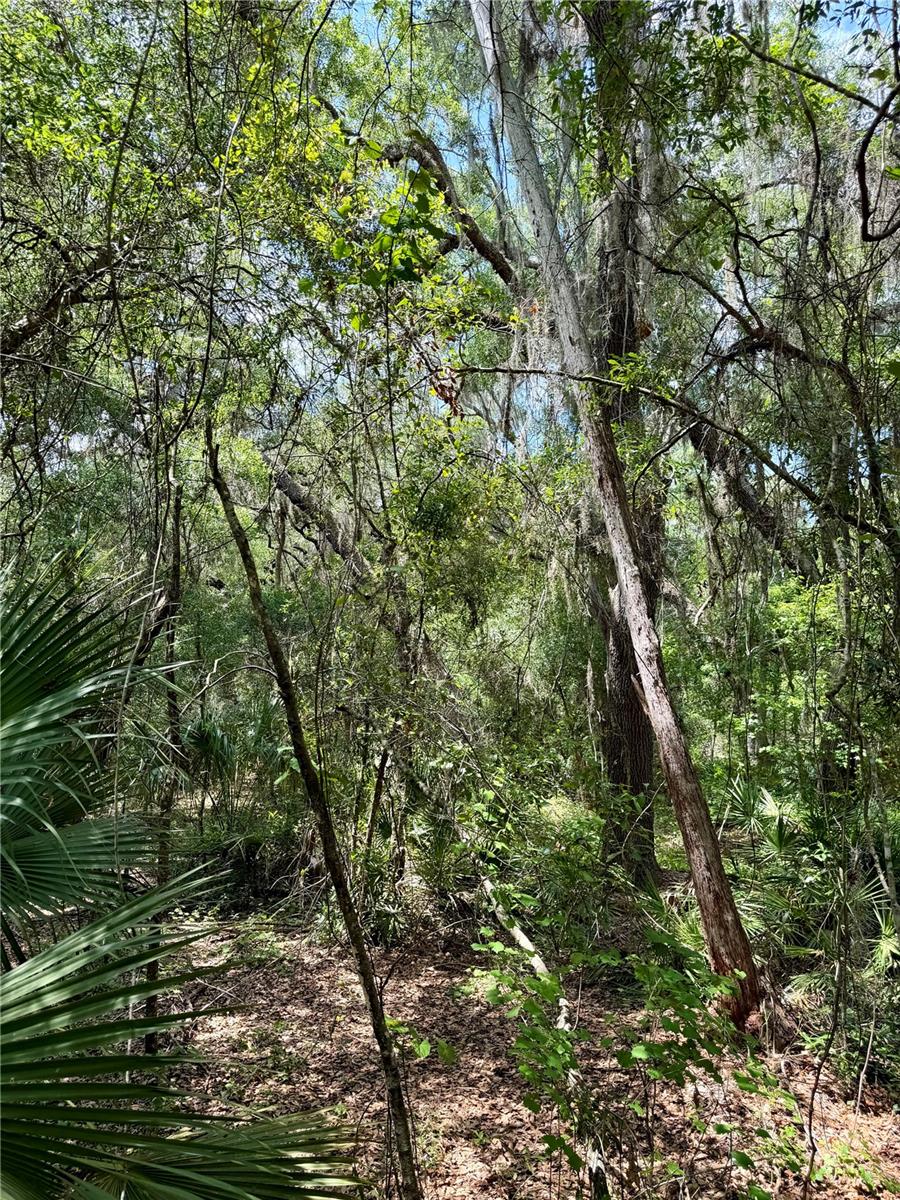 16500 48th Avenue, FL
