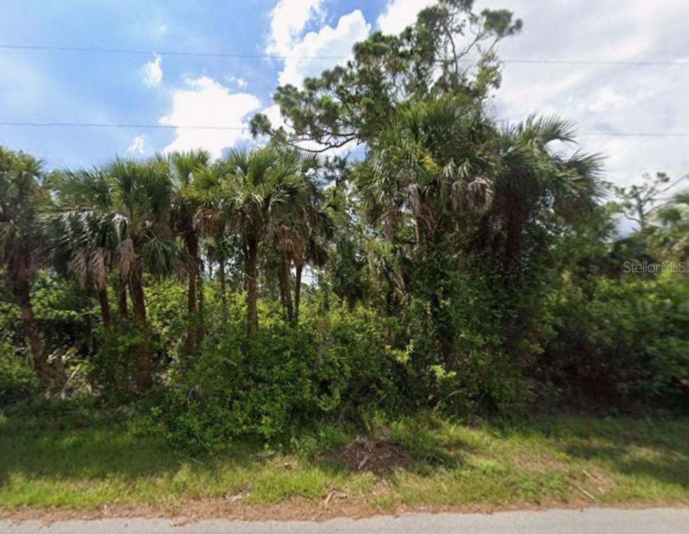 449 Cheshire Street, FL