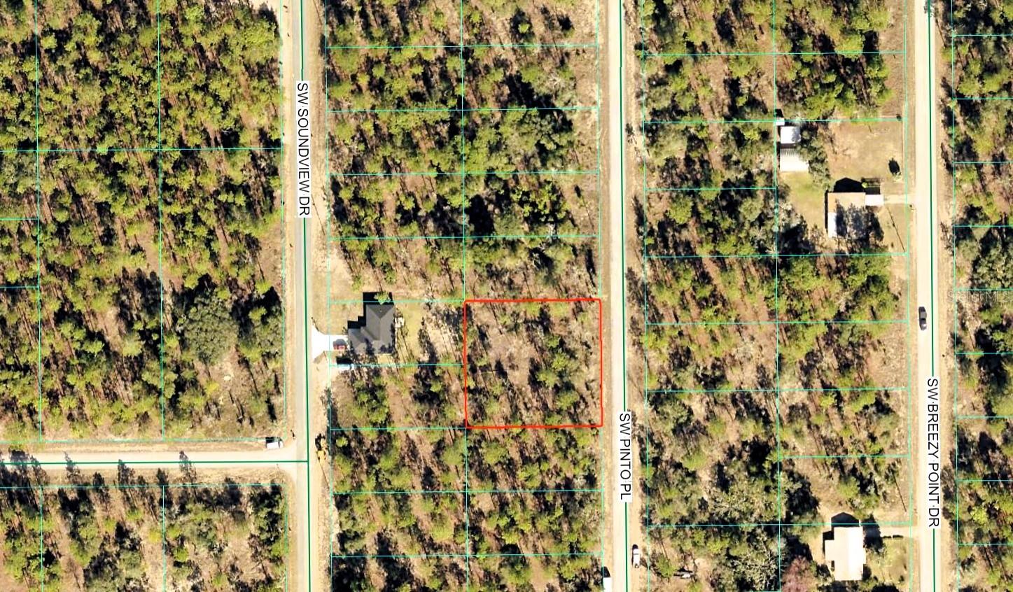 Sw Pinto Pl, FL