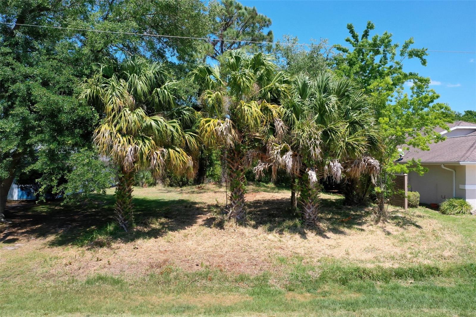 6 Corona Court, FL