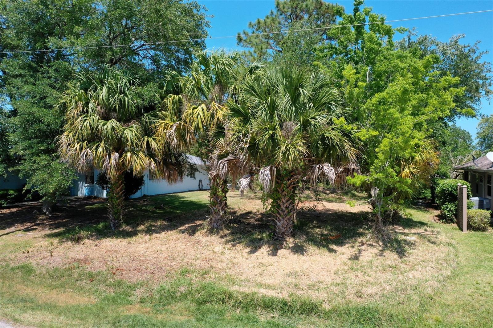 6 Corona Court, FL