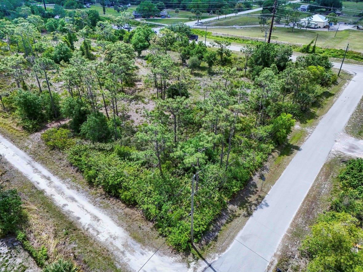 29305 Hazelwood Drive, FL
