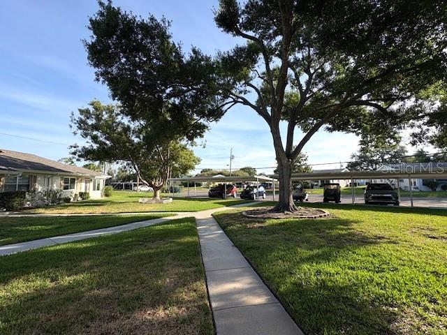 1902 Dandridge Street, FL