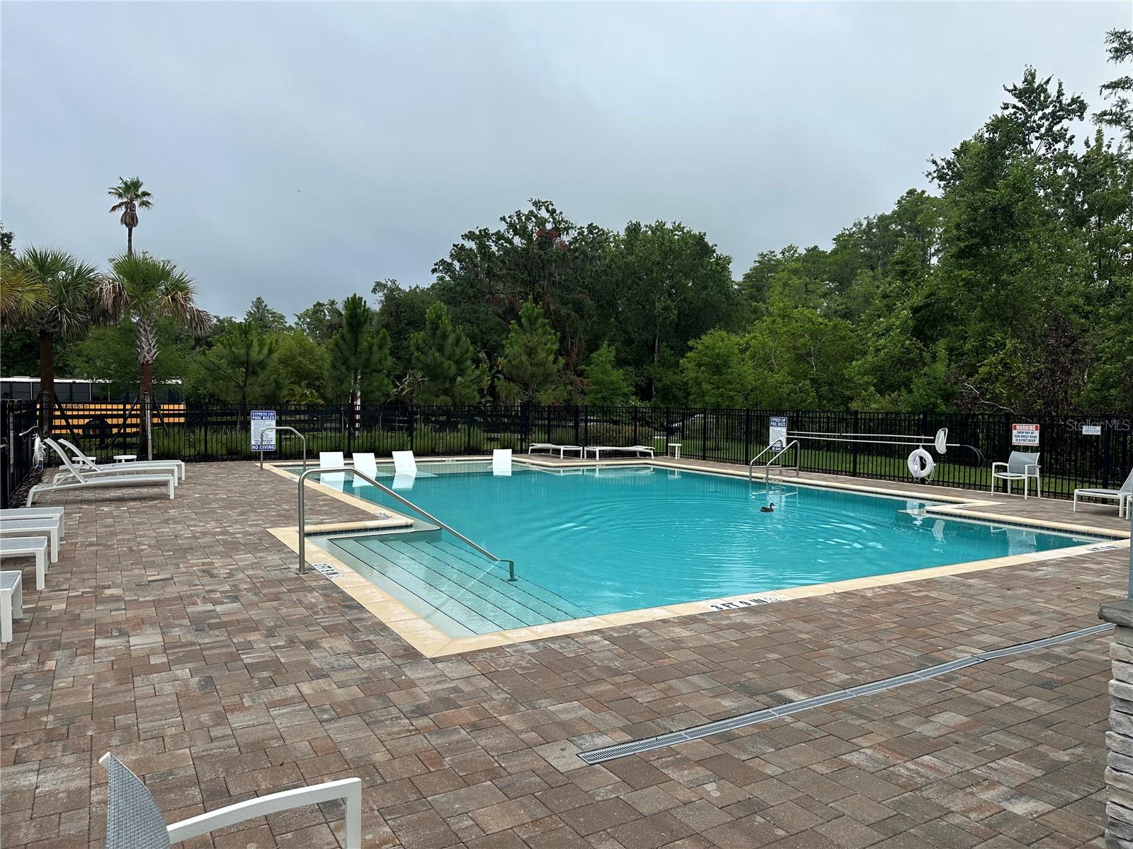 2511 Bright Jewel Street, FL