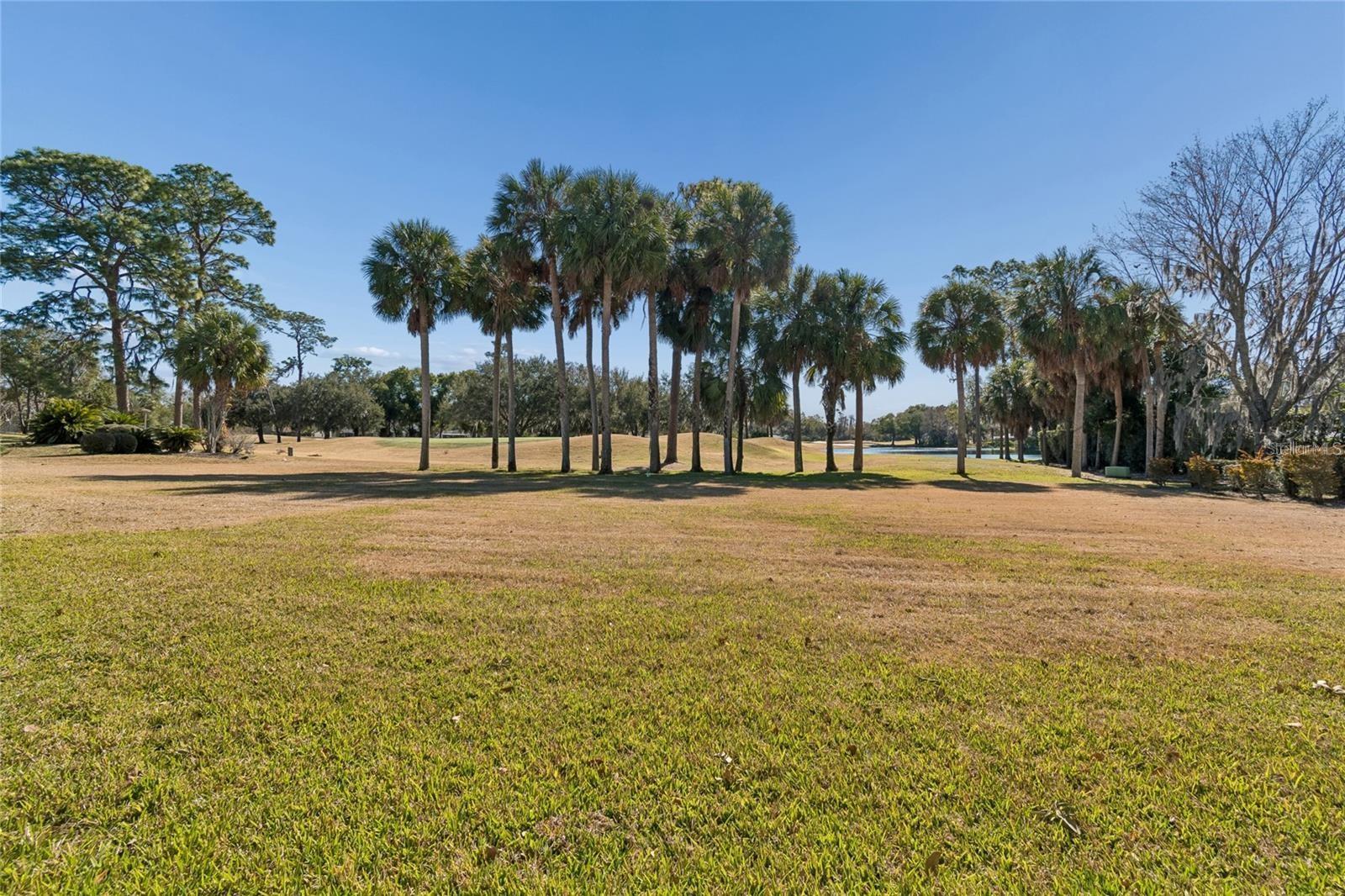 29244 Whipporwill Lane, FL