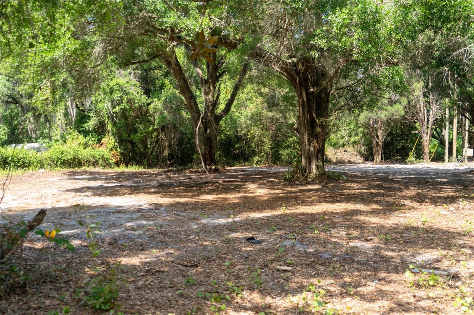 3482 County Road 507, FL