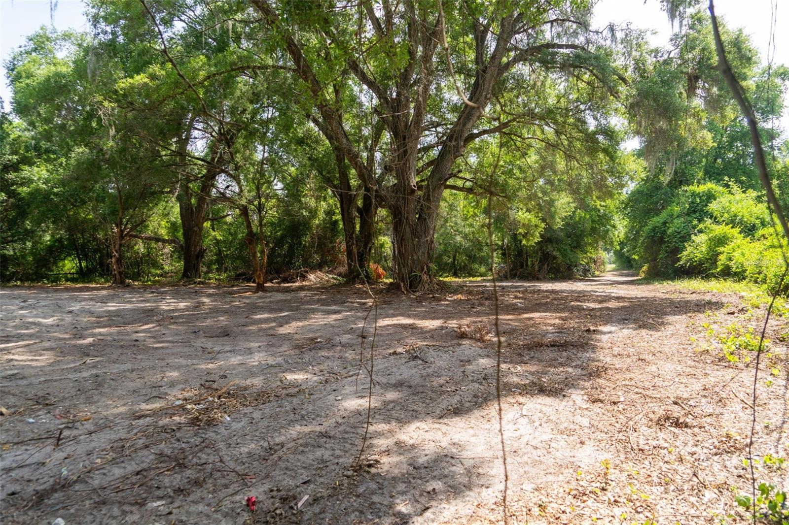 3482 County Road 507, FL