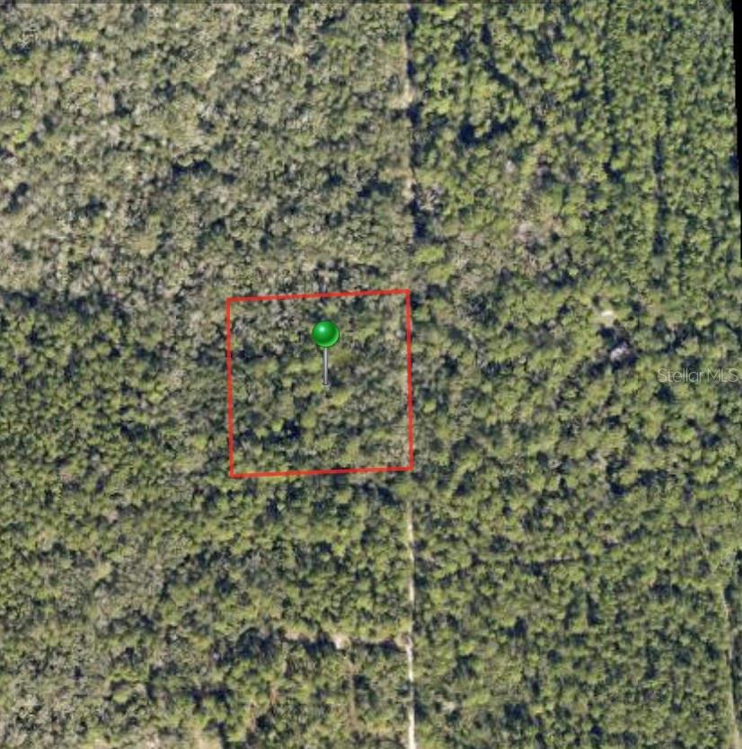 Lake Harney Road, FL