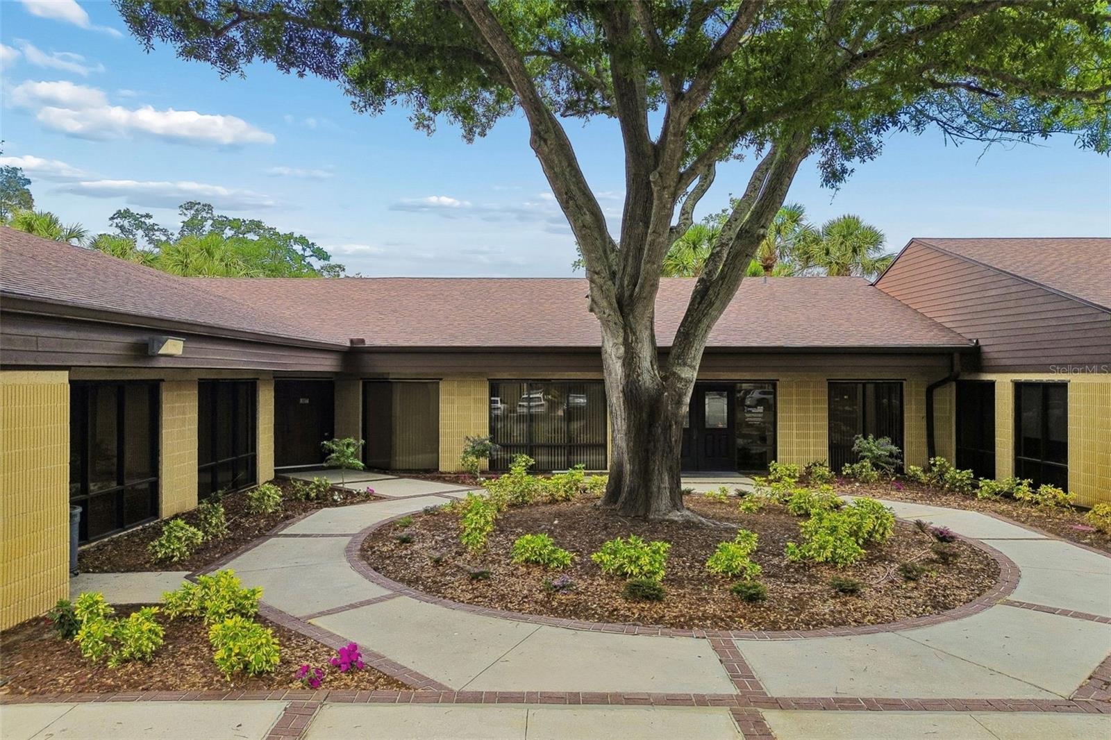 611 Druid Road, FL