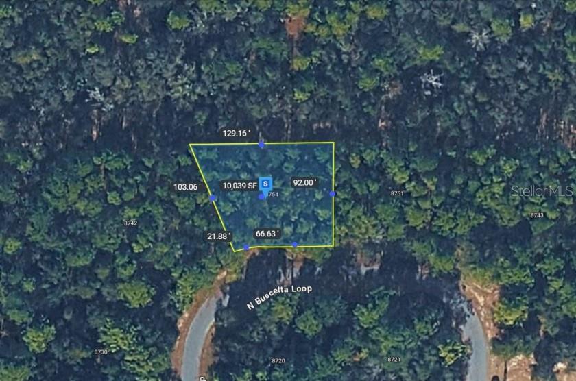 8754 Buscetta Loop, FL