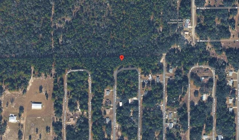 8754 Buscetta Loop, FL