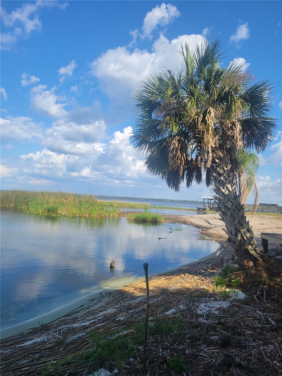 5031 Valencia Street, FL