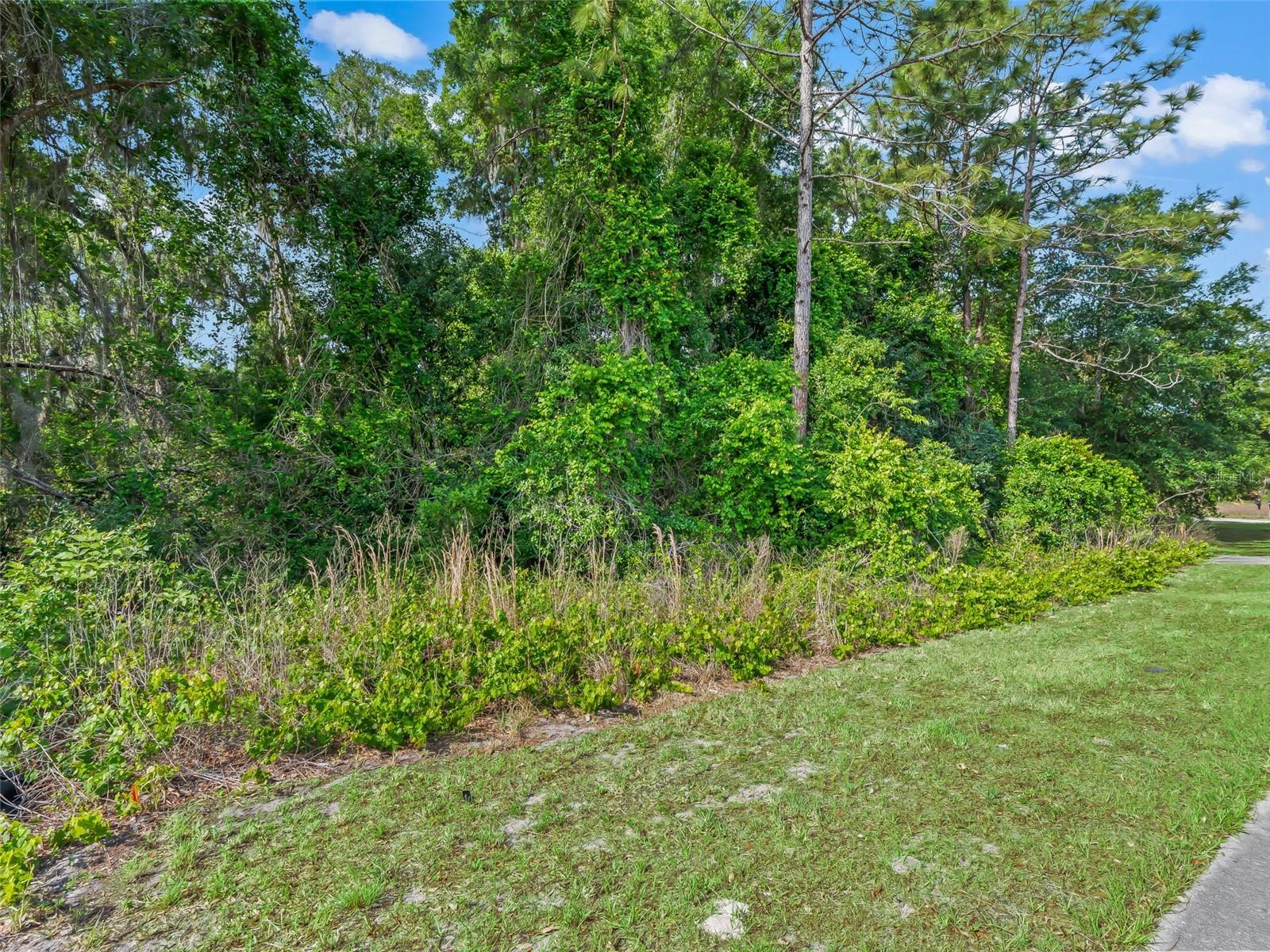 2823 C 48, FL