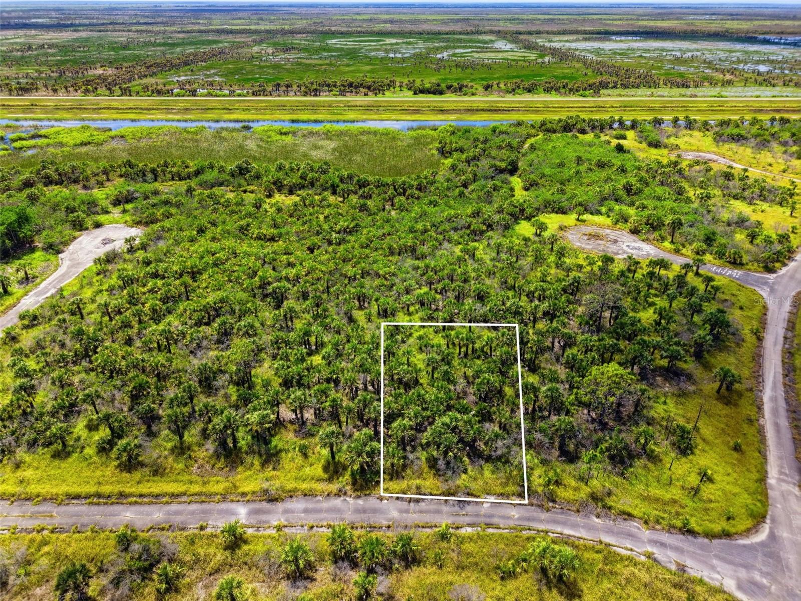 2806 Flameflower Terrace, FL