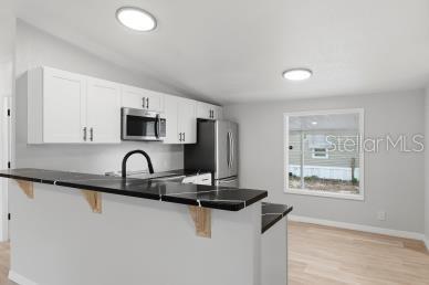 3009 Canandaigua Trail, FL