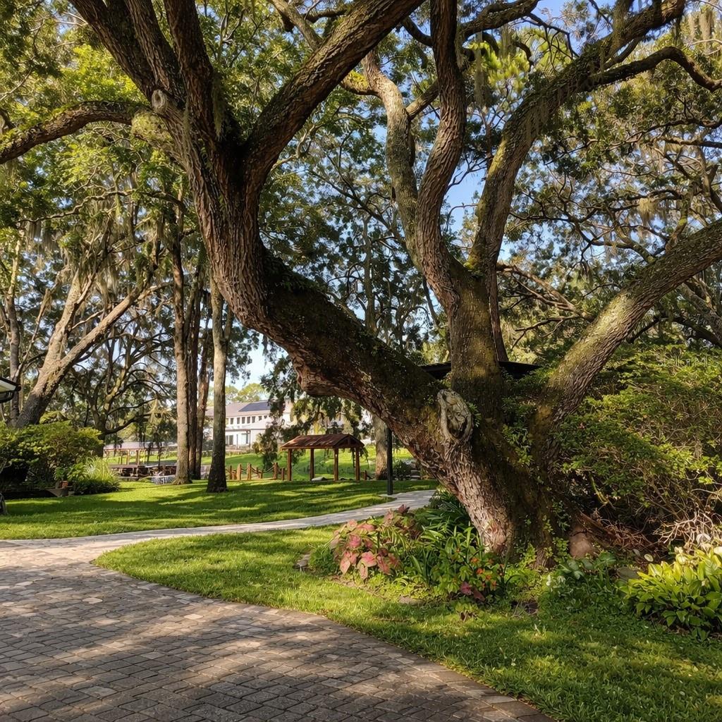 11102 Shady Oak Street, FL
