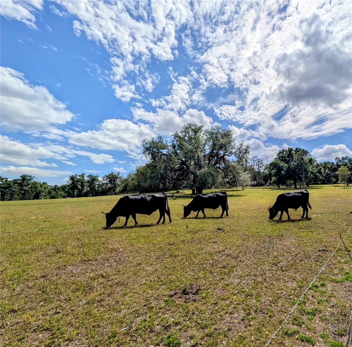 0 Sweetwater Road, FL