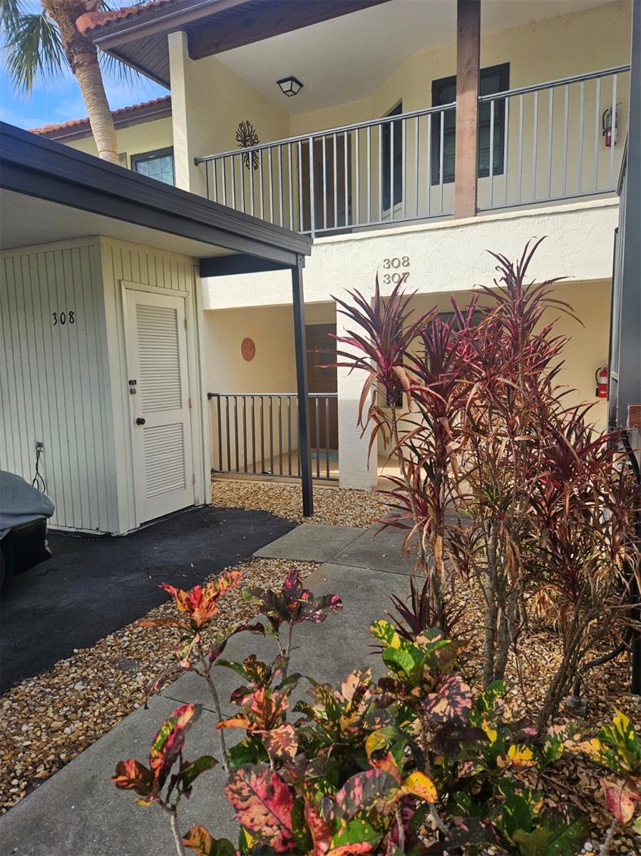 307 Pine Hollow Circle, FL